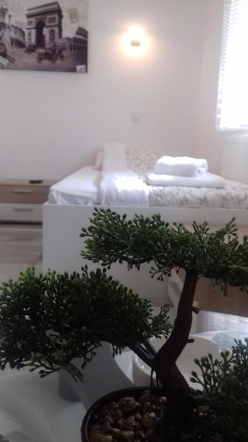 Ni Mesecev Konak Bed & Breakfast エクステリア 写真