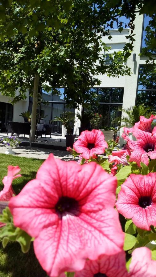 Ni Mesecev Konak Bed & Breakfast エクステリア 写真