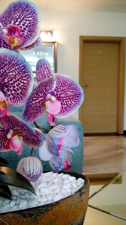 Ni Mesecev Konak Bed & Breakfast エクステリア 写真